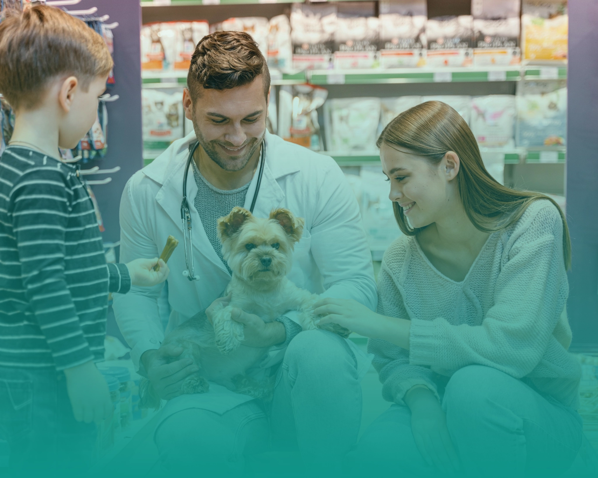 Professional pet shop branding workspace with adorable pet elements